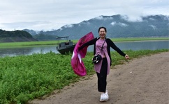 蘑菇视频HD在线